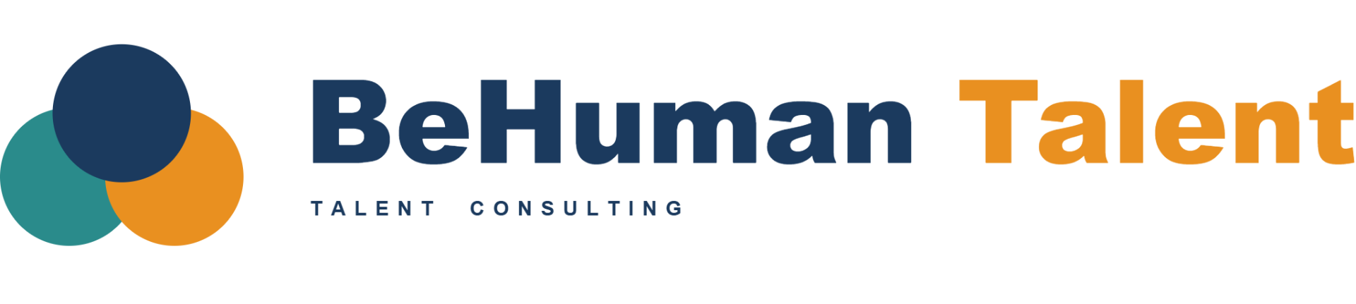 BeHuman Talent — Talent Consulting